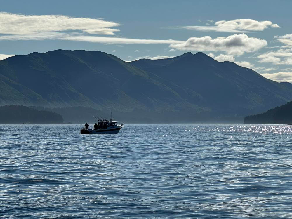 HALIBUT AND OCEAN FISHING (1) Steelhead fishing